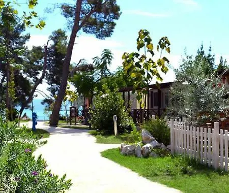 Dream Apartamento